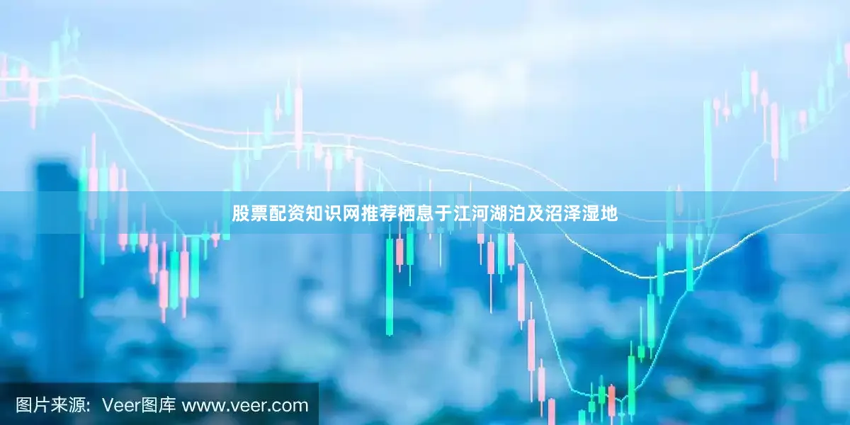 股票配资知识网推荐栖息于江河湖泊及沼泽湿地