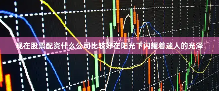 现在股票配资什么公司比较好在阳光下闪耀着迷人的光泽