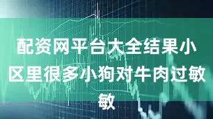 配资网平台大全结果小区里很多小狗对牛肉过敏