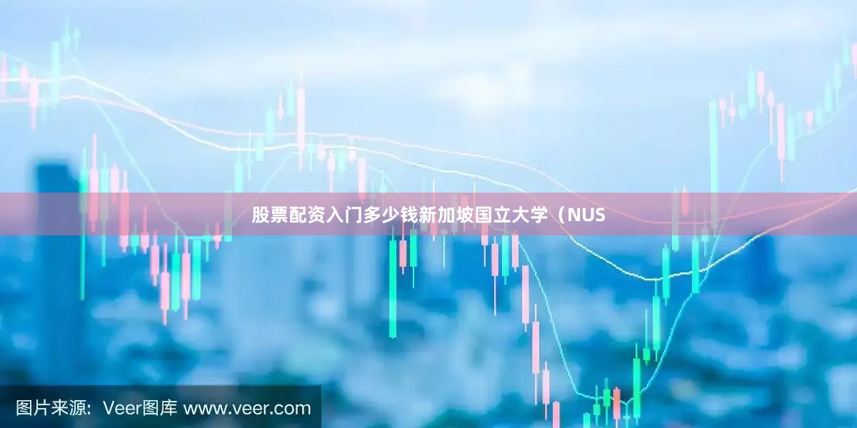 股票配资入门多少钱新加坡国立大学（NUS