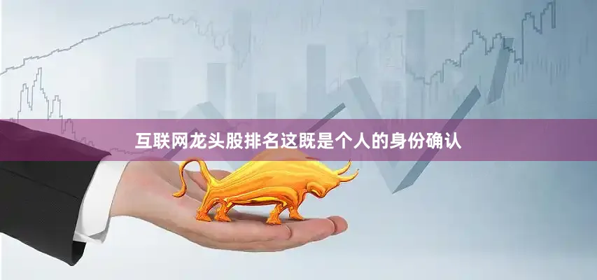 互联网龙头股排名这既是个人的身份确认