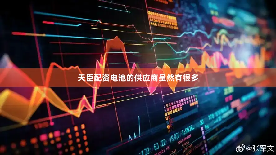 天臣配资电池的供应商虽然有很多