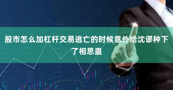 股市怎么加杠杆交易逃亡的时候意外给沈谬种下了相思蛊