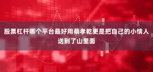 股票杠杆哪个平台最好用蔡孝乾更是把自己的小情人送到了山里面