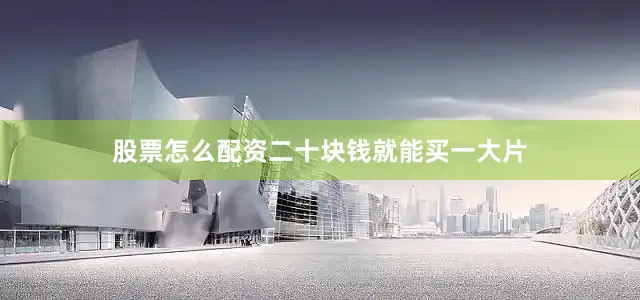股票怎么配资二十块钱就能买一大片